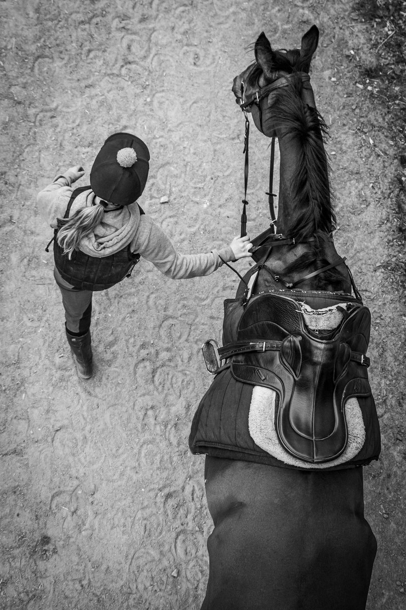 A scene from #RavenswellFarm