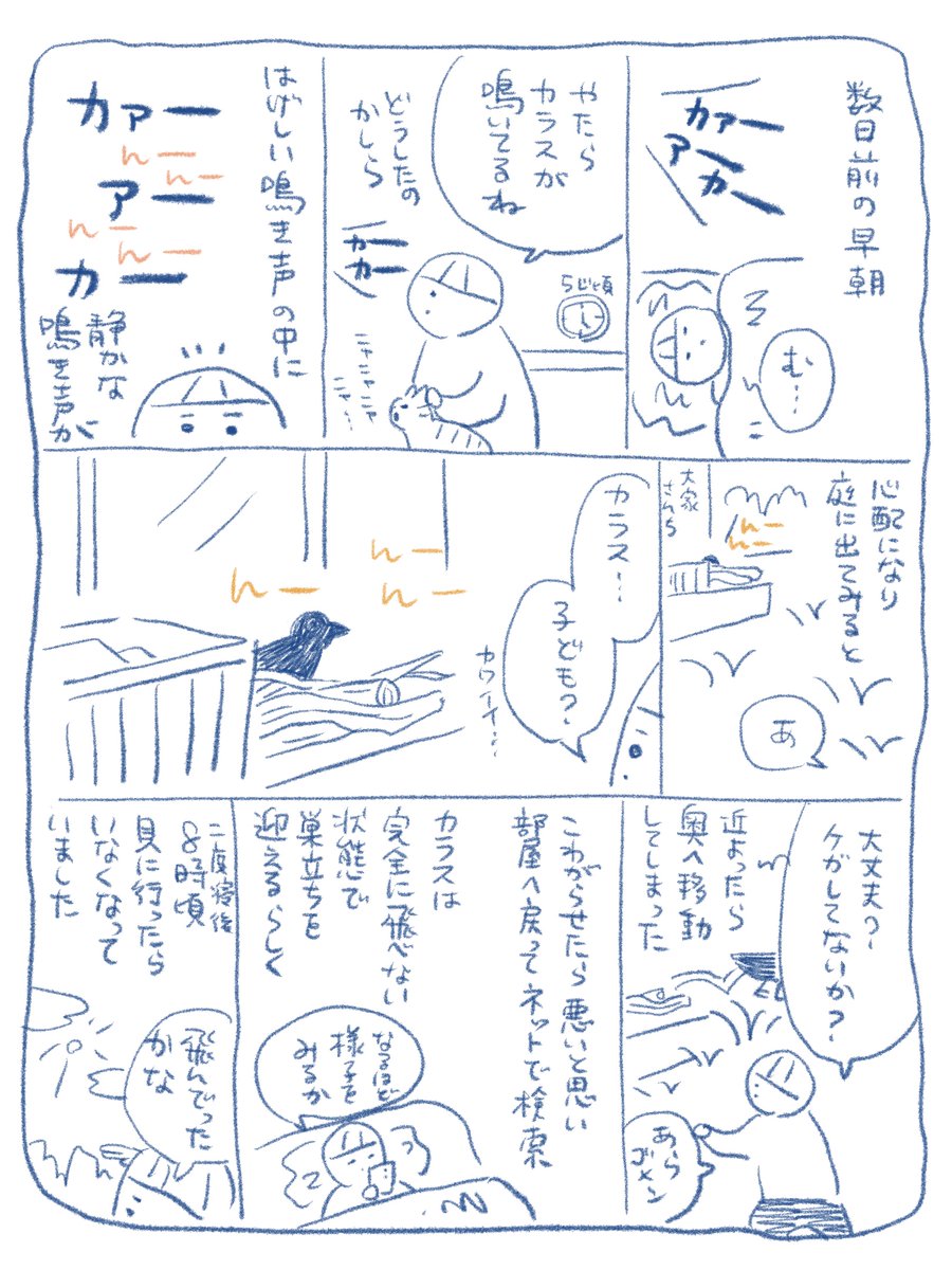 【エッセイ漫画】早朝のカラス
#さくまのまんが 