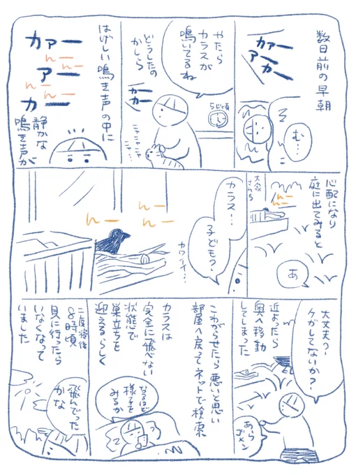 【エッセイ漫画】早朝のカラス
#さくまのまんが 