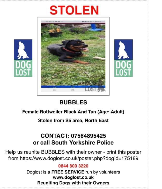 KarenFi51820768's tweet photo. Please share to #FindBubbles stolen from Sheffield area
all info here https://t.co/r8y5X2Pba9 please #RT any info contact @syptweet please https://t.co/cLypPpHcXx