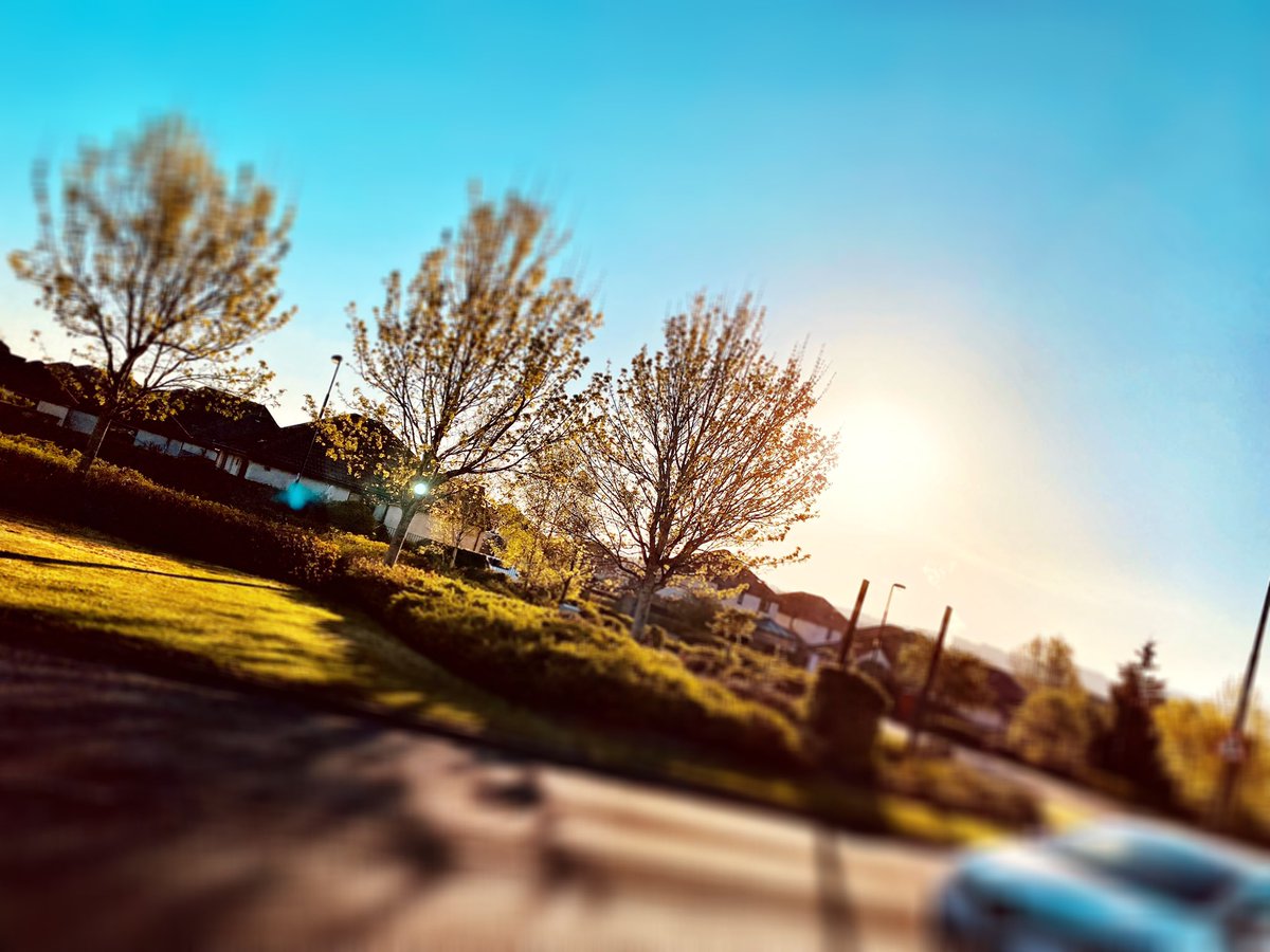 What a gorgeous morning… fresh but oh so sunny :-)