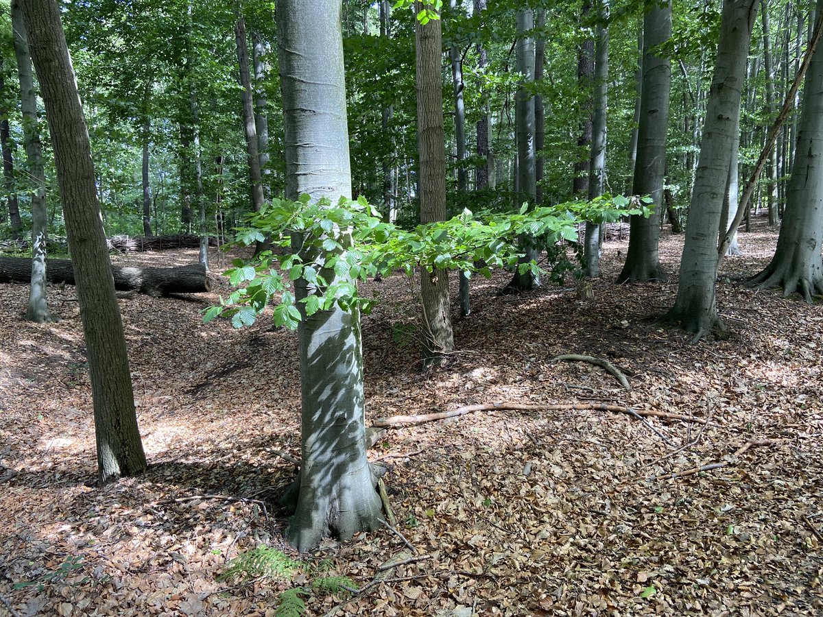 Guten Morgen miteinander und einen frohen Tag! 
#AlteFotos