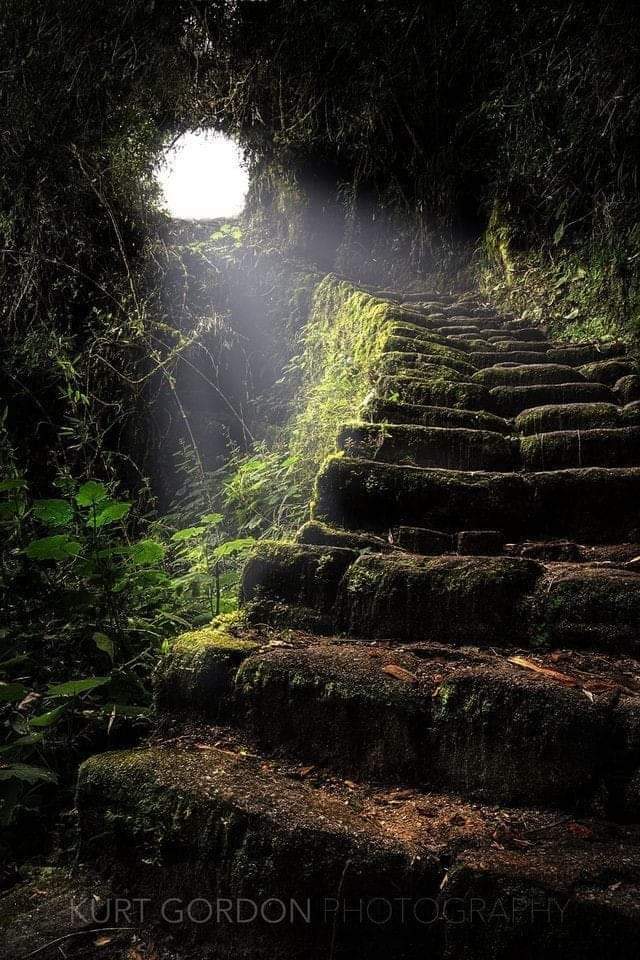 RT @historydefined: Stairway to Heaven, the ancient Inca Trail leading to Machu Picchu, Peru. Photo: Kurt Gordon https://t.co/LJ8J4VKAxH