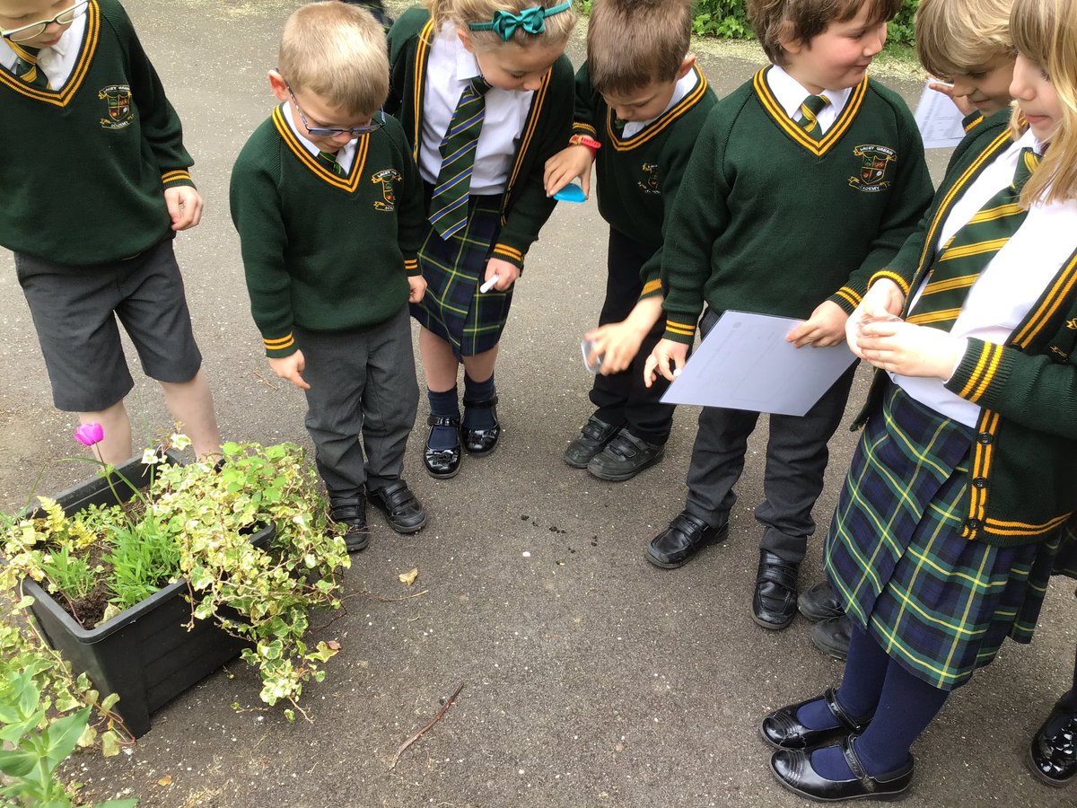 laceygreenpa's tweet image. Year 1 went on an invertebrate hunt in our gardens. We found lots of worms and woodlouse #LGPAScience