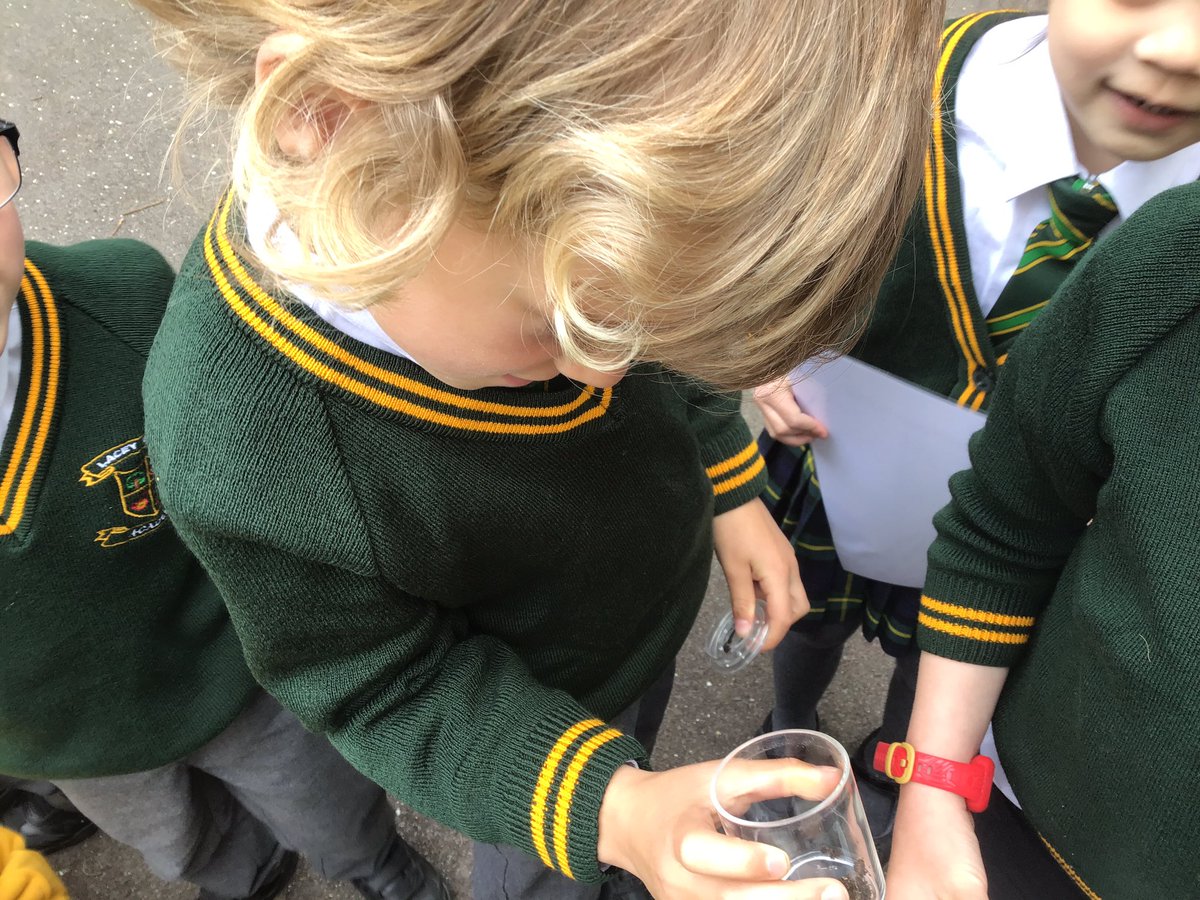 laceygreenpa's tweet image. Year 1 went on an invertebrate hunt in our gardens. We found lots of worms and woodlouse #LGPAScience