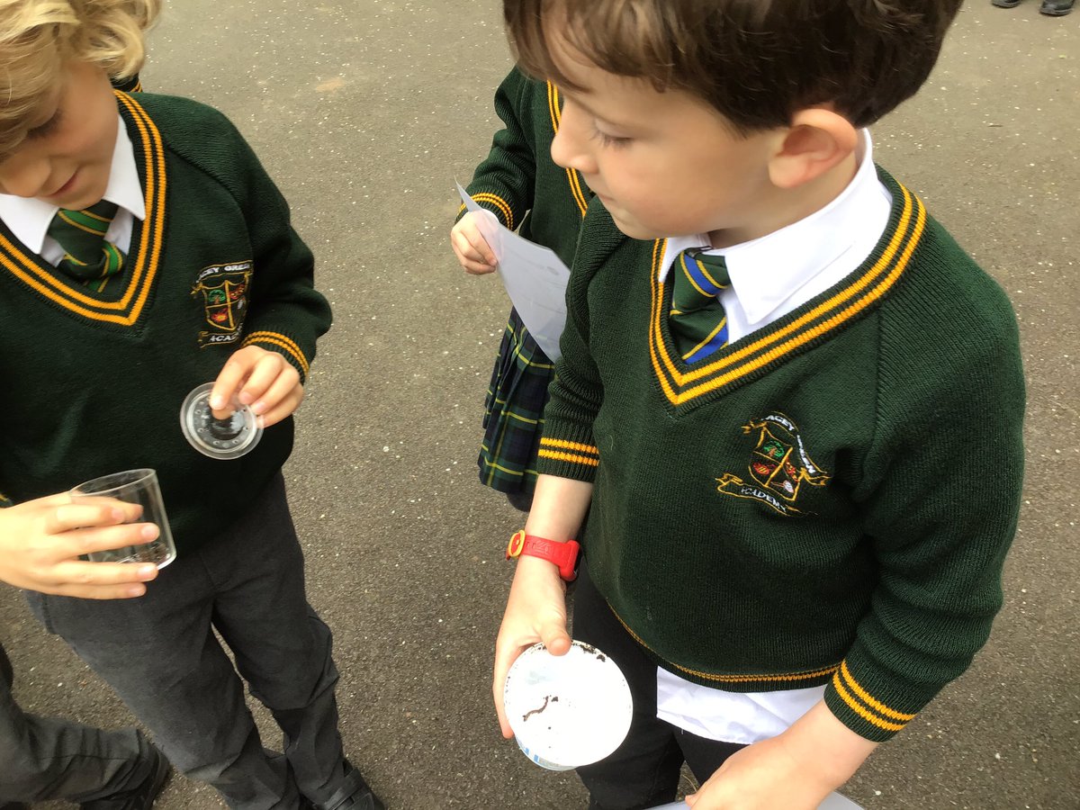 laceygreenpa's tweet image. Year 1 went on an invertebrate hunt in our gardens. We found lots of worms and woodlouse #LGPAScience