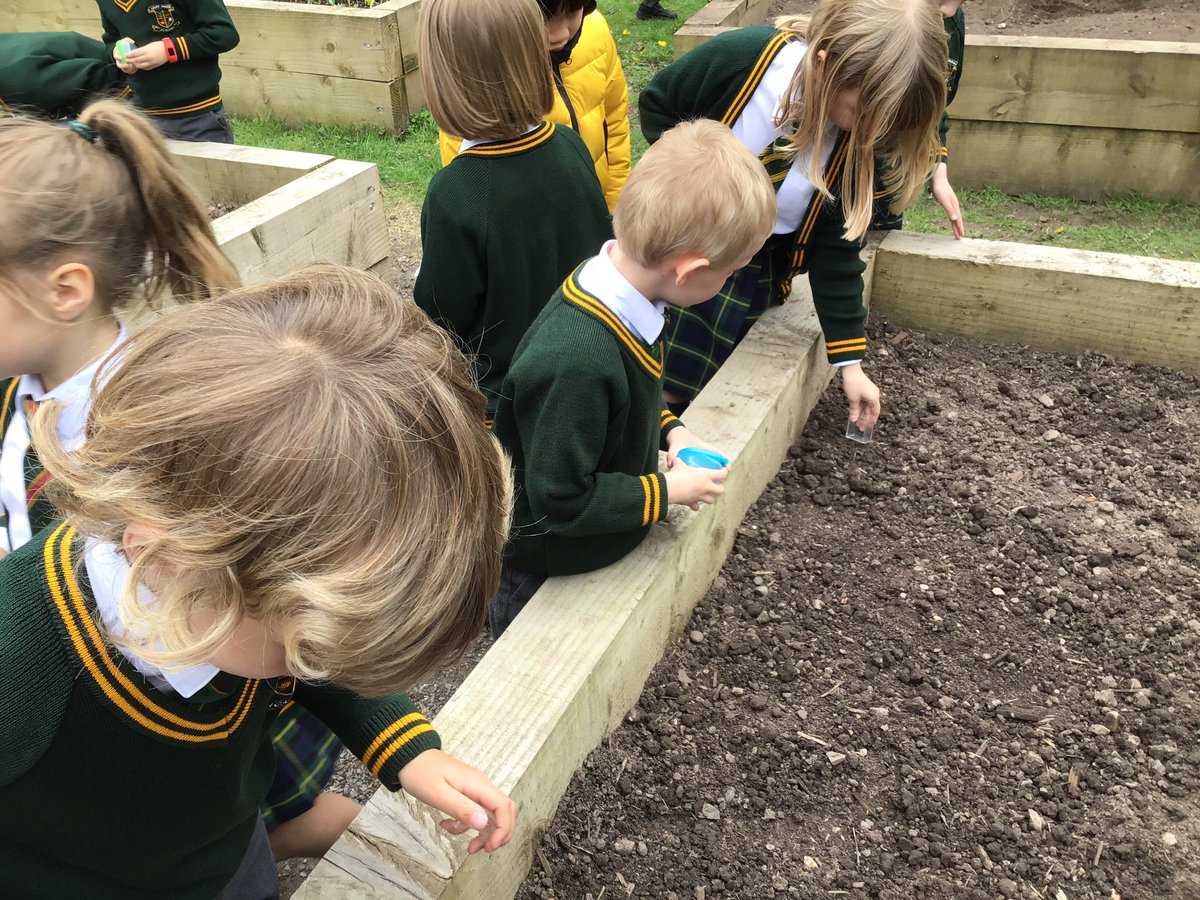laceygreenpa's tweet image. Year 1 went on an invertebrate hunt in our gardens. We found lots of worms and woodlouse #LGPAScience