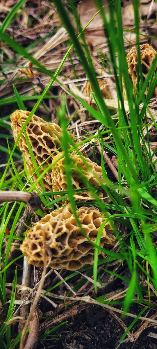 Kassi17's tweet image. 