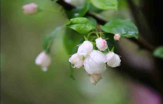 De Moppen (@demoppentweet) on Twitter photo 