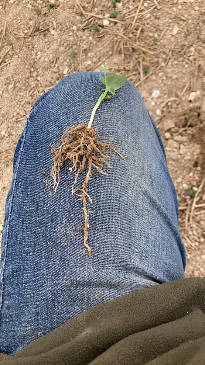 Andy Meecham tweet media