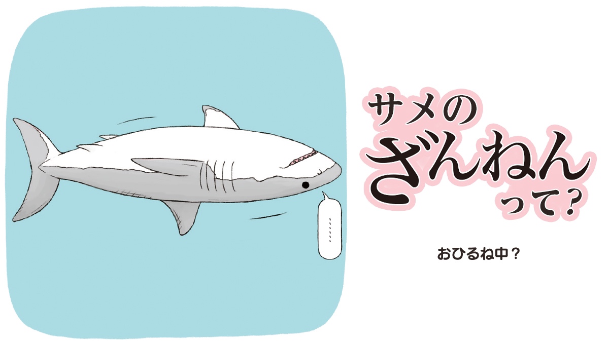 強いけど