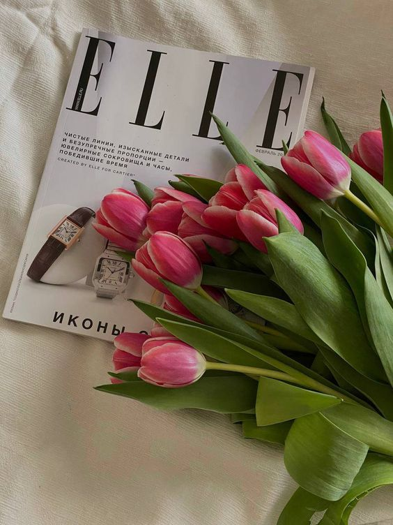 liIacdaisy's tweet image. tulips