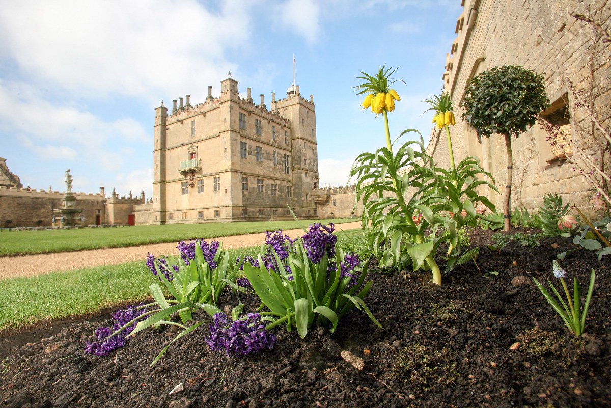 A front runner snap if there ever was one! 📸

📍Bolsover Castle, Derbyshire