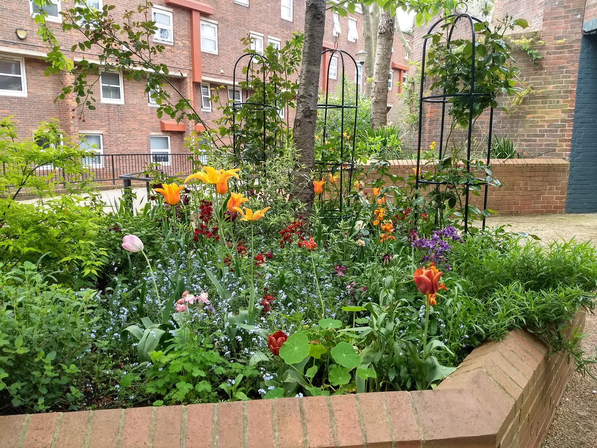 Beautiful blooms outside the cafe at 91 in the middle of the Elthorne Estate. Rumours that this place is soon to open again, and have seen plenty of activity inside of late. Can anyone confirm? #archway #elthorneestate