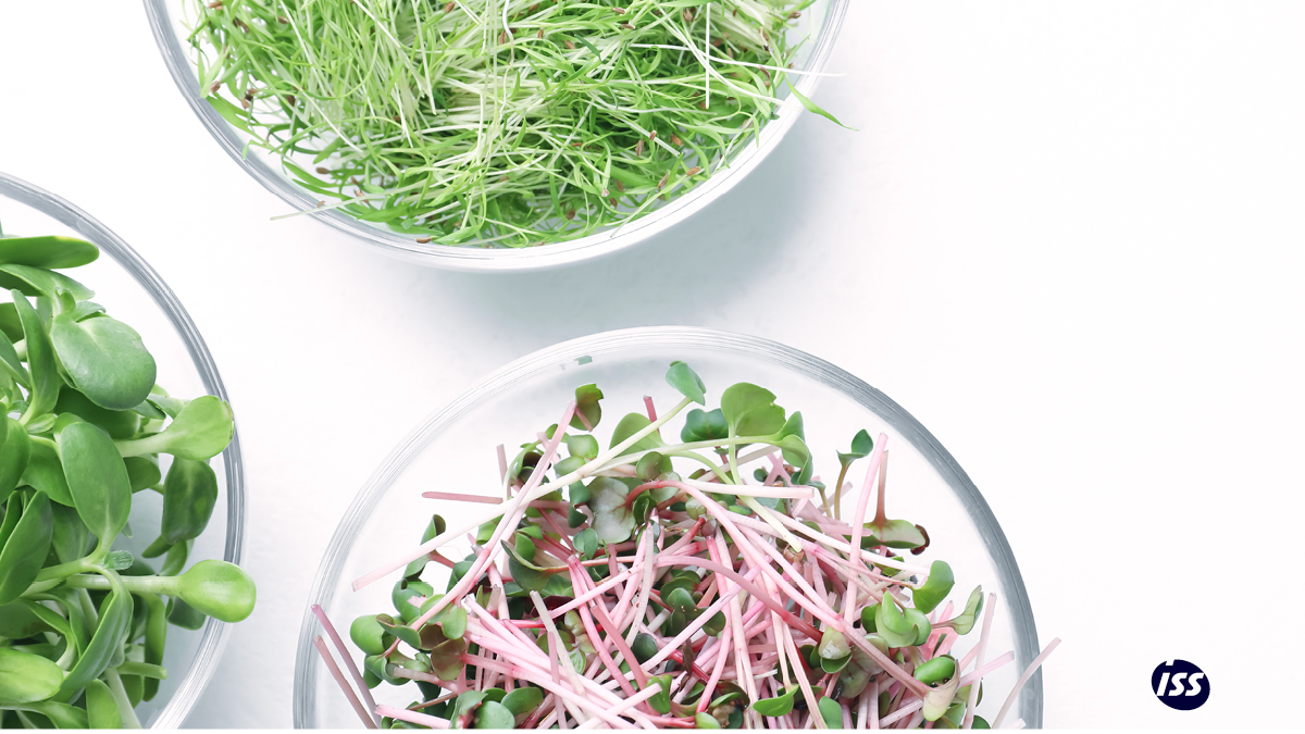 It's great to be recognized among other organizations that have committed to serve more climate-friendly food through the World Resources Institute Cool Food Pledge. 

Learn more: bit.ly/3MCePEM
 
#ISSbethechange #PeopleWhoCare #SustainableFood #CoolFood