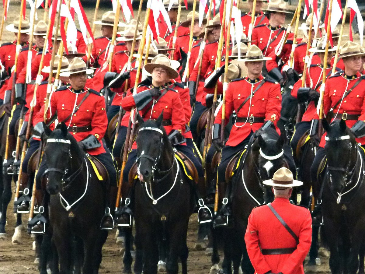 GomezSenegal's tweet photo. ¿Te gustan los caballos y los vaqueros? Hoy @andreacanada_AV nos ha contado algo que te gustará. Se trata de una tradición de Canadá conocida como "La estampida". ¡Qué chulo, gracias!🐎🤠
#DescubreElMundoConAVGE #Canada https://t.co/Ki6Bo9pDyT