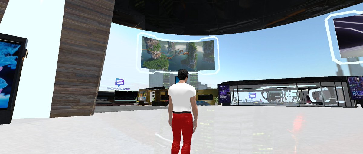 MetaverseCode's tweet photo. Hey, check out my cool Avatar in @Somni_life

Join here https://t.co/ZWNe3z5x7e

#SomniLife #Metaverse https://t.co/0lL2c5HLPY