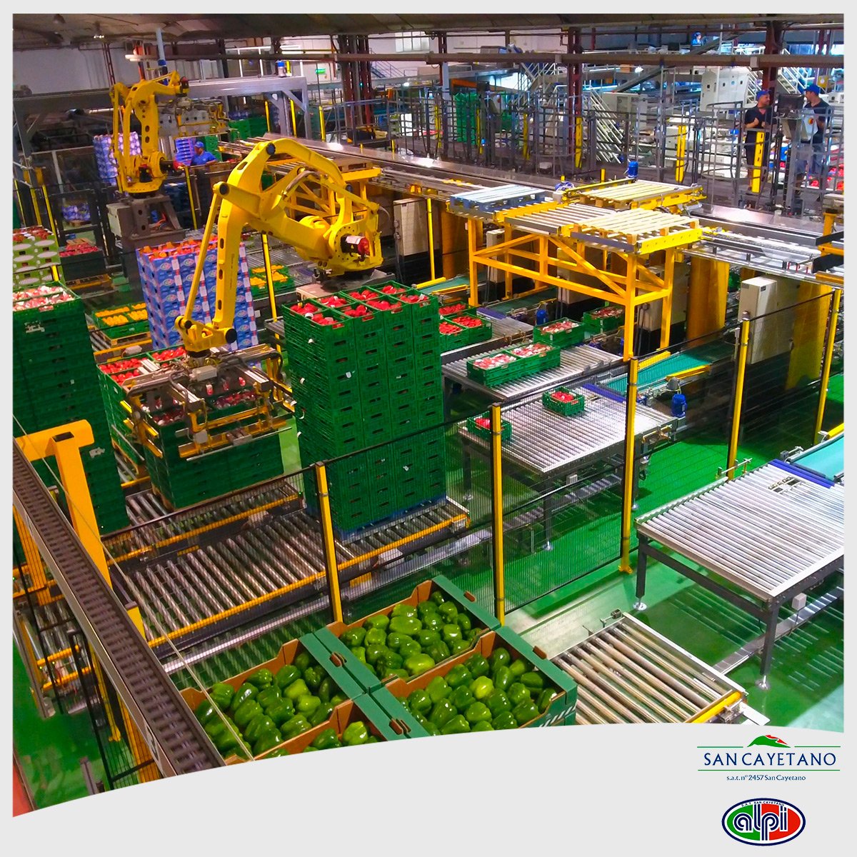 #ALPI 🤔SABÍAS QUÉ❓

En #España 🇪🇸 existen unas 6⃣0⃣0⃣ OPFH 🟠🌶️🍋, y #ALPI es la número 4⃣3⃣, siendo de las ➕antiguas, teniendo las siguientes ventajas:

➕Concentración de la oferta
➕Poder negociador
➕Acceso a programas de la #UE 🇪🇺

#BuenosDias #FelizJueves #28Abril