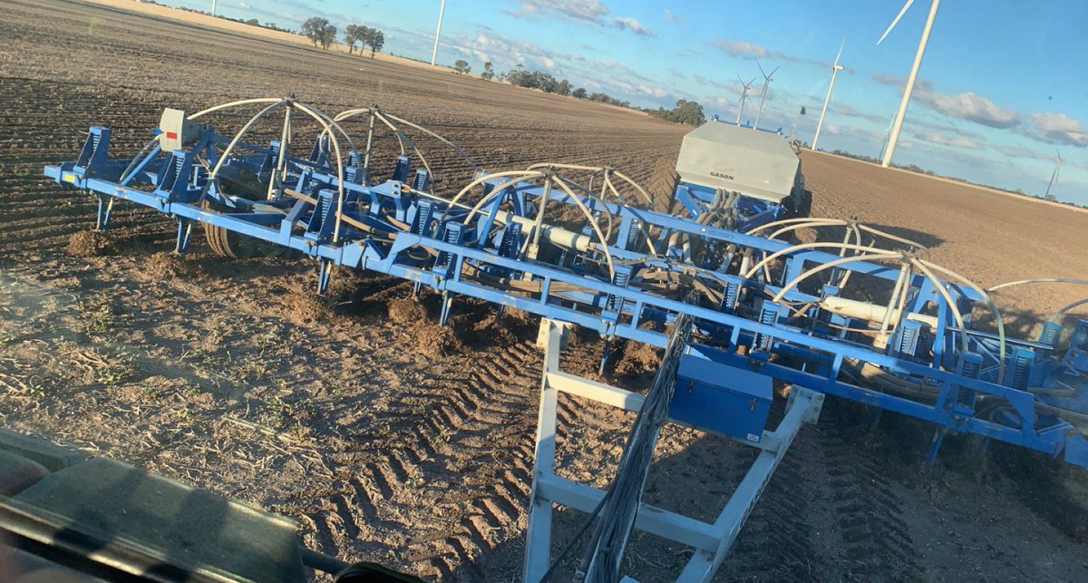 byrnedaddy's tweet photo. Canola going into moisture and rain forecast tomorrow. 🤞🌧 https://t.co/j0QDKEi0nD