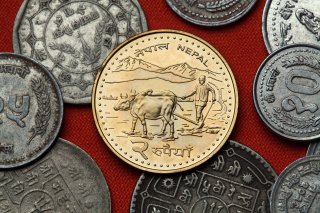 UKinNepal's tweet photo. All 753 local governments have used the UK funded Public Financial Management software SuTRA at least once for its core functions. Governance Advisor Sarita Sapkota @one_sarita explains how SuTRA's user experience has led to its successful adoption. https://t.co/L315zoVNmQ https://t.co/J0pLHiDyZn