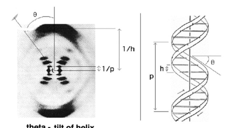Maurice Wilkins (1916 – 2004)  #NewZealand -brn #British #Nobellaureate contrib~ 2 phosphorescence, isotope sep~n, optical microscopy X-ray diffr~n, n 4 structure of DNA.#thursdaymorning #thursdayvibes #PayItForwardDay #AI #Biology #Science #NEET2022 #NEET2023 #Uranites