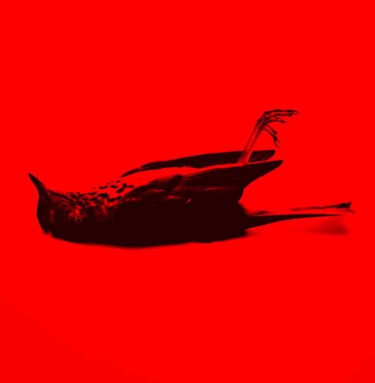 omgseed's tweet photo. Dies Irae

#deathnote #gregorianchant #thrush #songofthethrush https://t.co/uqFXNPZnny