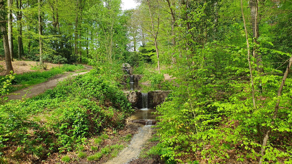 GerritvdLinde's tweet photo. Op Koningsdag een schitterende wandeling gemaakt over het #Rosandepad (#Klompenpad) bij #Oosterbeek Een prachtig afwisselend landschap, heuvelachtig Met dank aan @LuciaHardonk voor de tip @klompenpaden (1/2) https://t.co/fY2GmFMayR