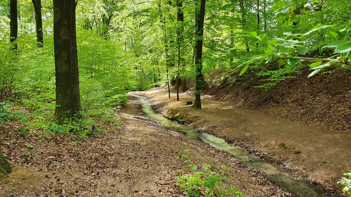 GerritvdLinde's tweet photo. Op Koningsdag een schitterende wandeling gemaakt over het #Rosandepad (#Klompenpad) bij #Oosterbeek Een prachtig afwisselend landschap, heuvelachtig Met dank aan @LuciaHardonk voor de tip @klompenpaden (1/2) https://t.co/fY2GmFMayR