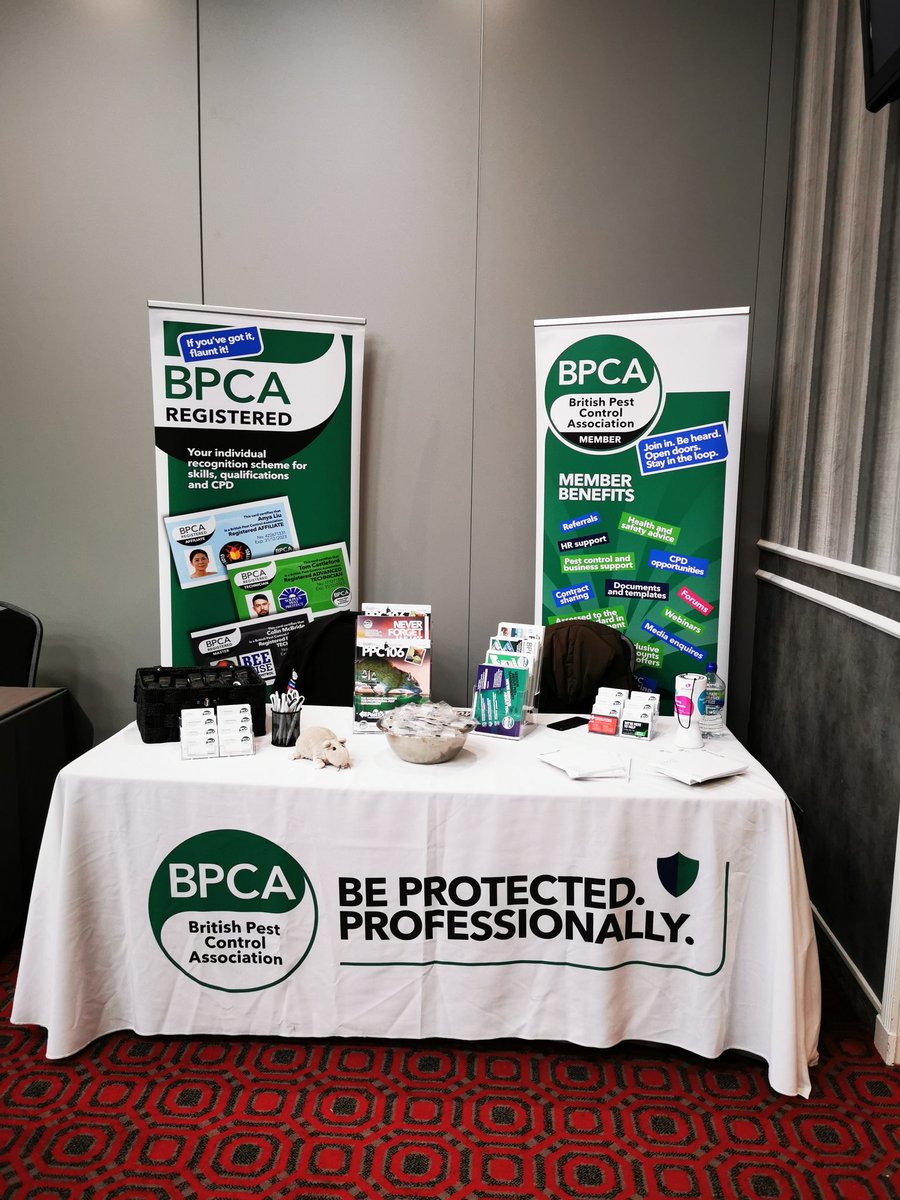 Rachel Eyre tweet media