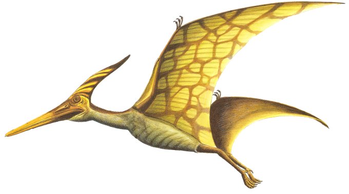 プテラノドンのtwitterイラスト検索結果