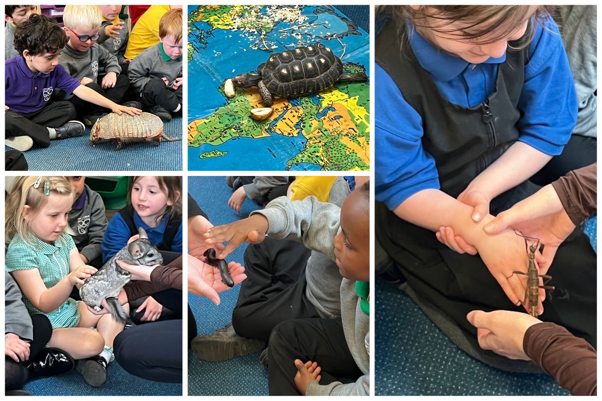 Carr Manor Community School tweet media