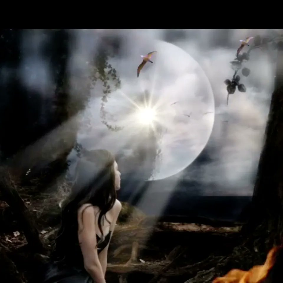 Look what I found! 'Dhinaz' at  nftbazaar.io/nft/0xb00d537f… $ICX #NFT