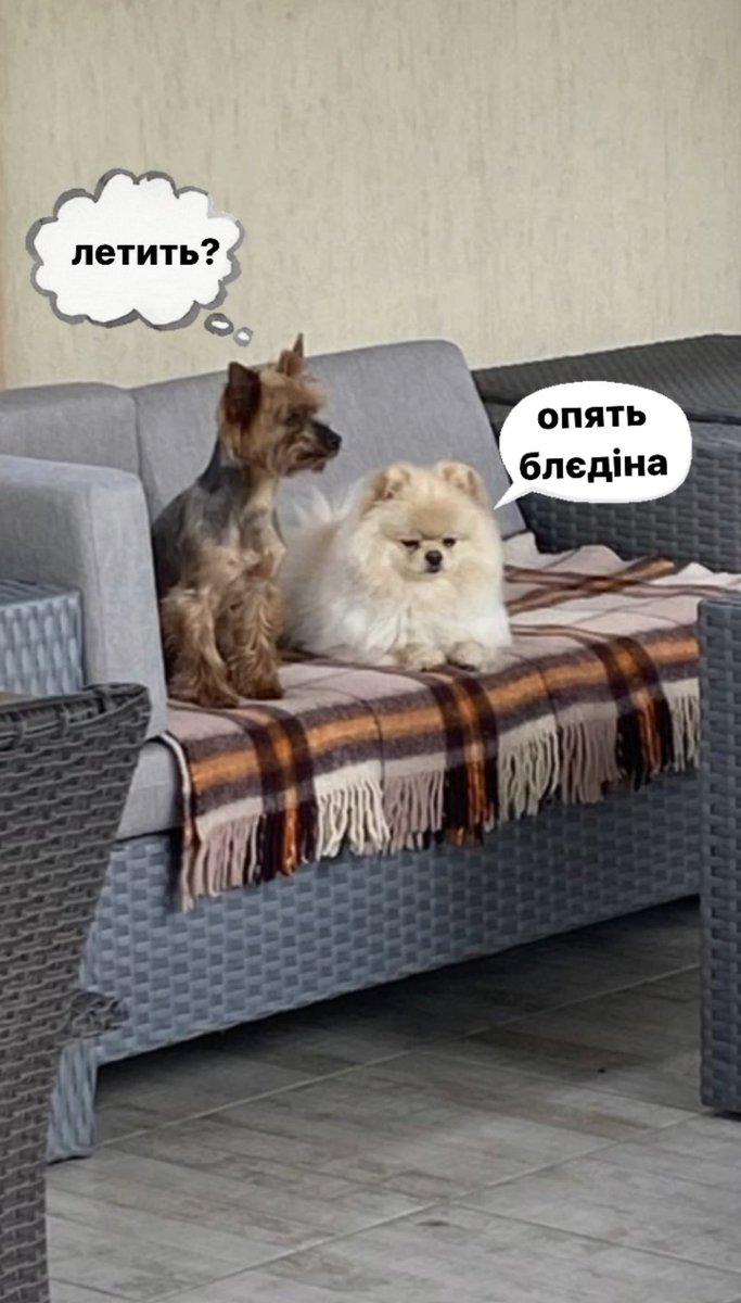 ssentropia's tweet photo. я мем зробила https://t.co/HmiB5QY0mK