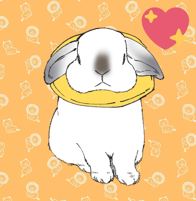  (乗り遅れましたが)えぇええー!?おめでとうございます家族が増えうさぎ様も増えるなんて!!幸せ特盛ですね( * ॑꒳ ॑*)新しいうさぎ様も是非アップして欲しいですwますます素敵な暮らしになりますように 