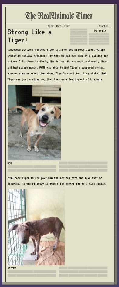 happygraphicgem's tweet image. My new pets :-) thank you @RealAnimals_RA