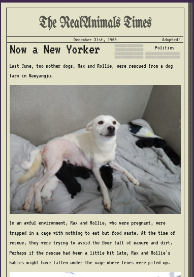 happygraphicgem's tweet image. My new pets :-) thank you @RealAnimals_RA