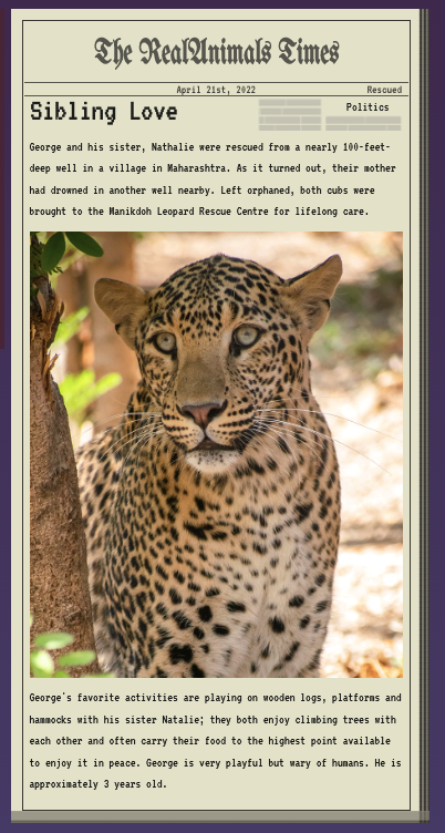 happygraphicgem's tweet image. My new pets :-) thank you @RealAnimals_RA