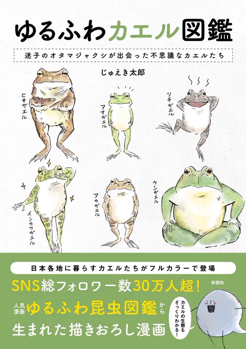 続きはこちら🐸🙇🏻‍♂️
https://t.co/4QI6EWyi2N 