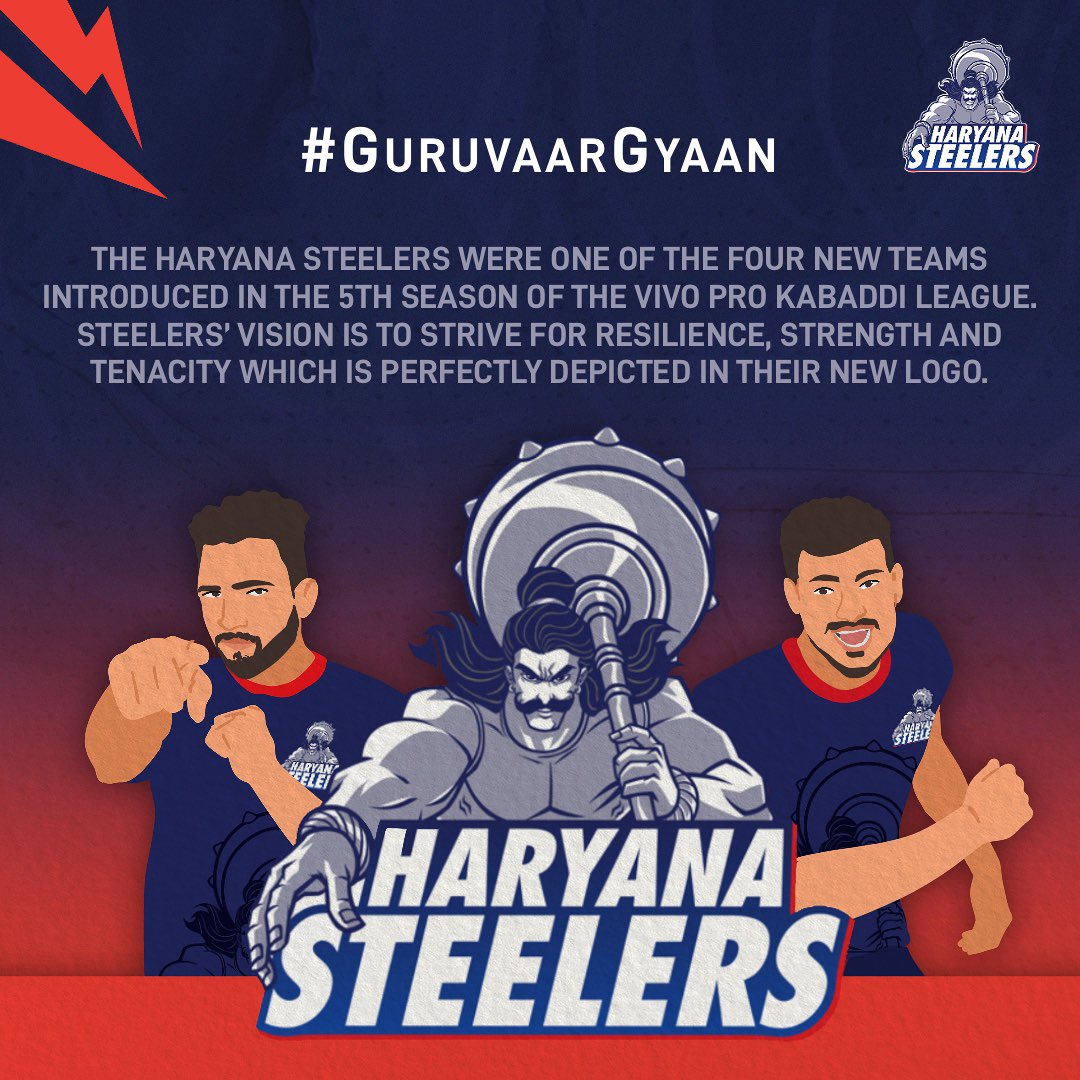 Details 119+ haryana steelers logo latest camera.edu.vn