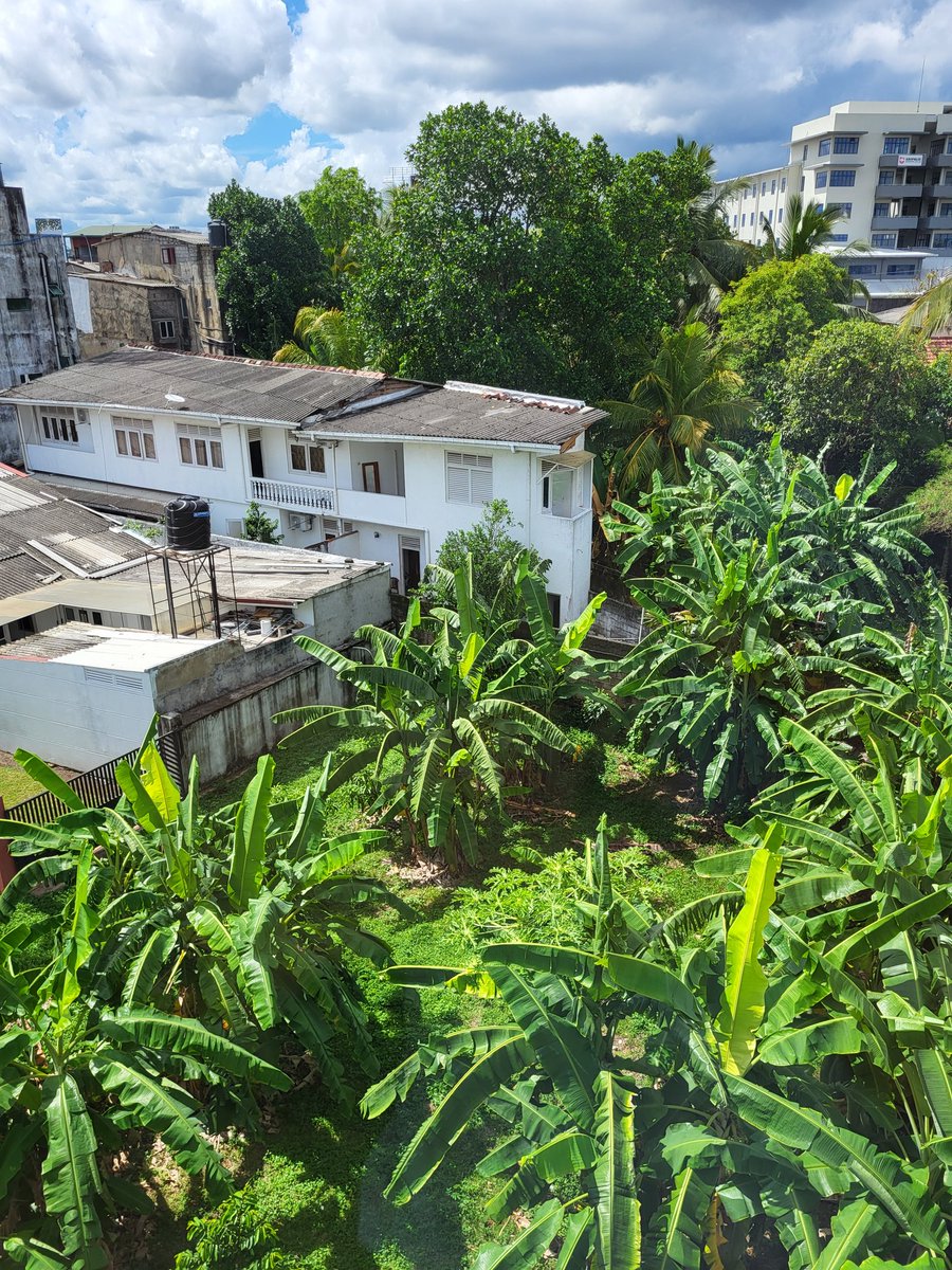 WorkFromThere's tweet image. Morning from the temporary @MarkBrattTravel office.