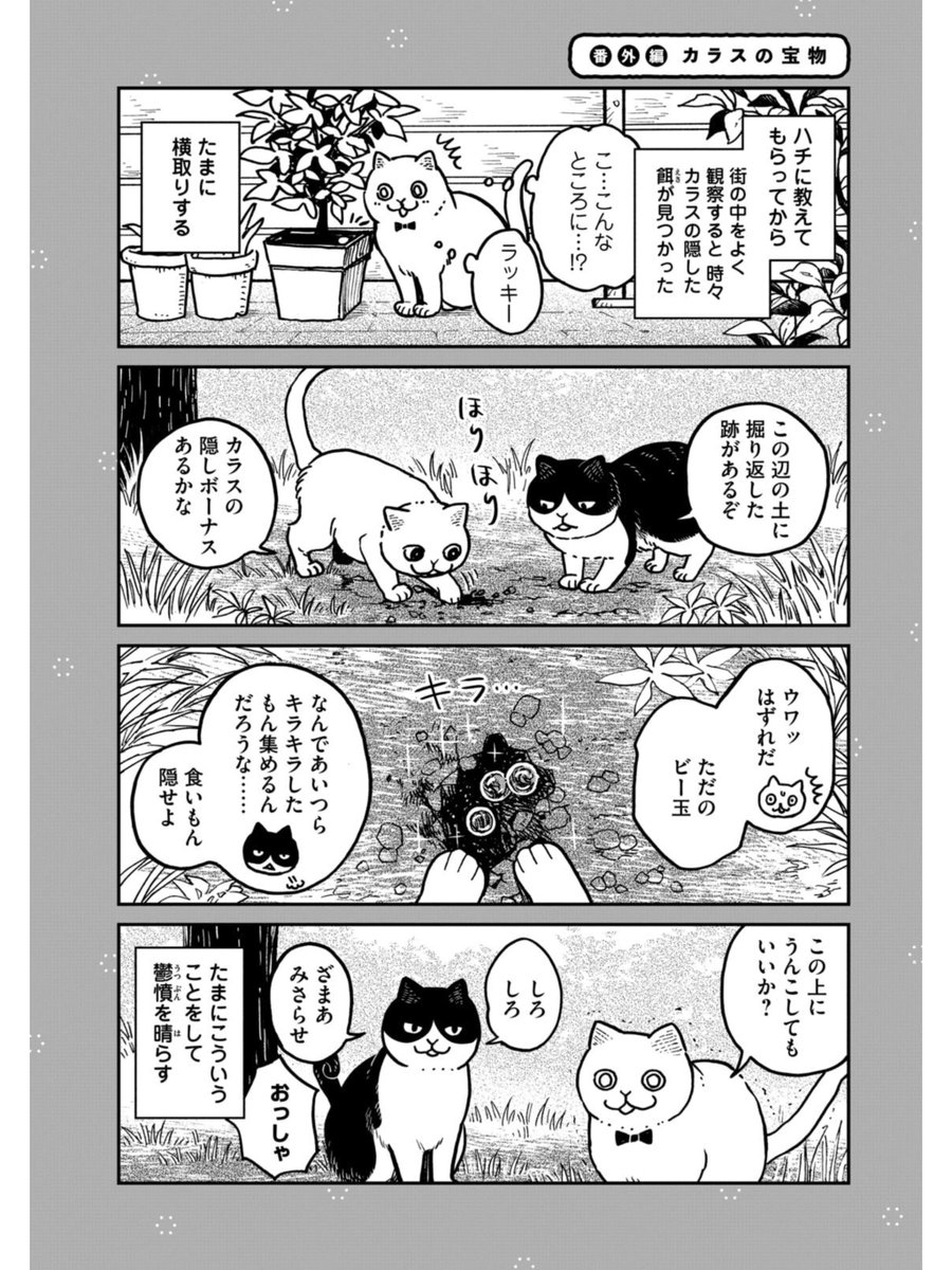 【創作】カラスの宝物
#ツレ猫マルルとハチ #マルルとハチ 