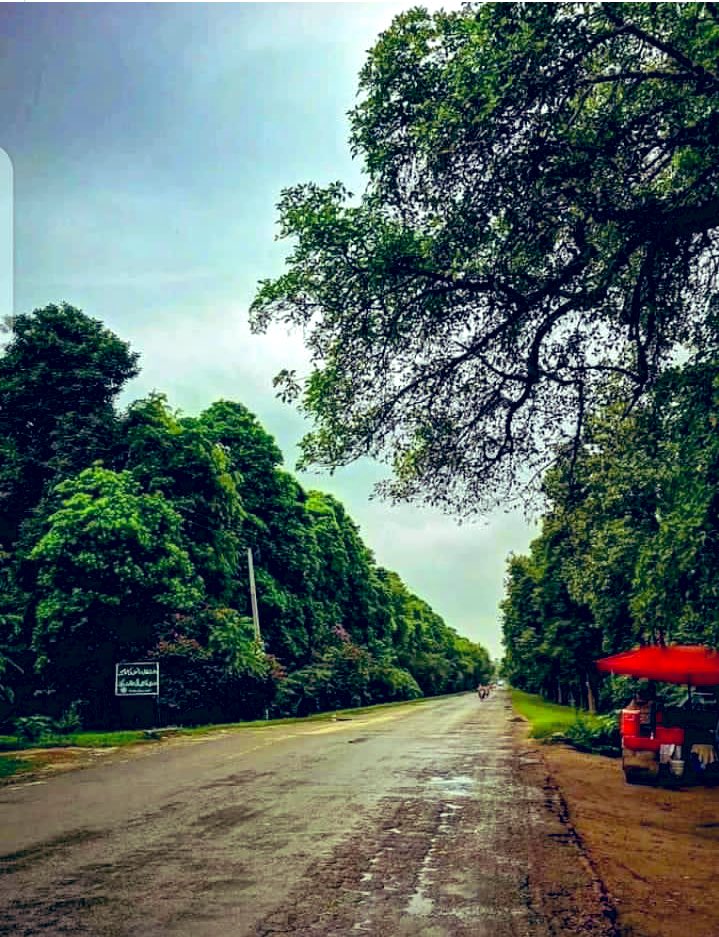 Khurram_zakir's tweet photo. اس جنگل کے پیڑوں سے میں واقف ہوں 
گر جاتے تھے جس پر سایا کرتے تھے 

Changa manga old road 

#beutifulpakistan https://t.co/uDoc5roqbP