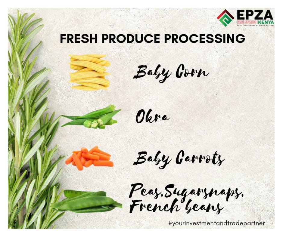 epzakenya's tweet photo. 1. #Freshproduceforexport The global demand for food is a major contributor to increased interest in the #EPZprogram by fresh produce investors @markupkenya @rodgers_kirwa @OxfarmAg @kenya_afa @kilimoKE @FPEAK_ @FPCKenya_ @Trade_Kenya @IndustryKE @lindachepkwony6 @AsnetKenya https://t.co/4i4o4umZFT