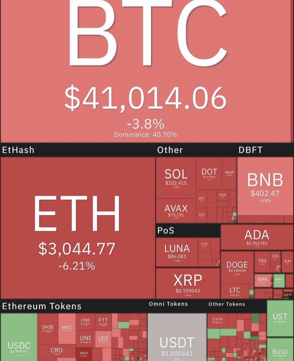 Sophia Lojan {Bitcoin Investor} tweet media