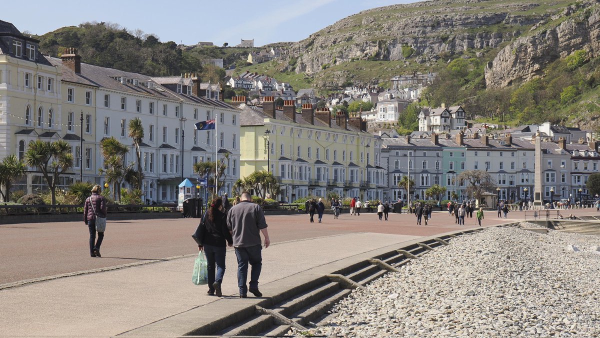 Welshot Imaging tweet media