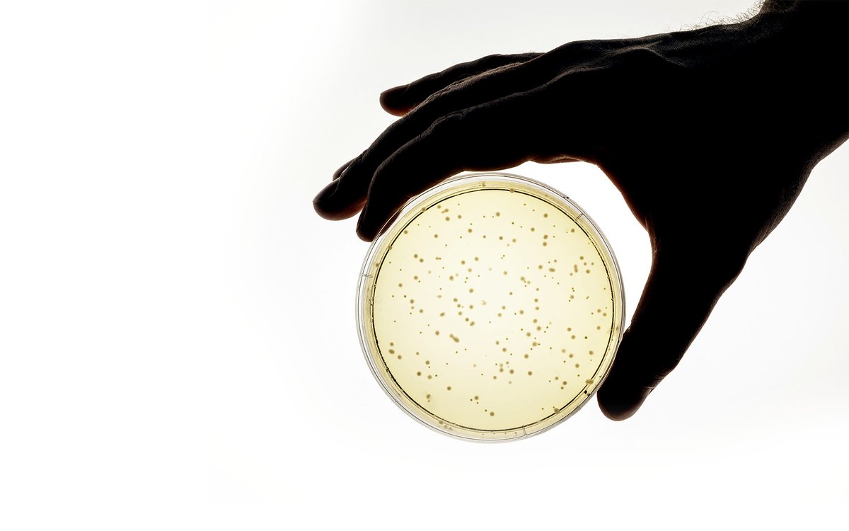 biosyntia's tweet photo. We are hiring!
To strengthen our R&amp;D team we are seeking a DSP Research Scientist to focus on the development of downstream processes towards the purification of natural compounds produced by microbial fermentation processes.

Apply here: https://t.co/M6G9A46ldh https://t.co/EvOa1Rgeh6