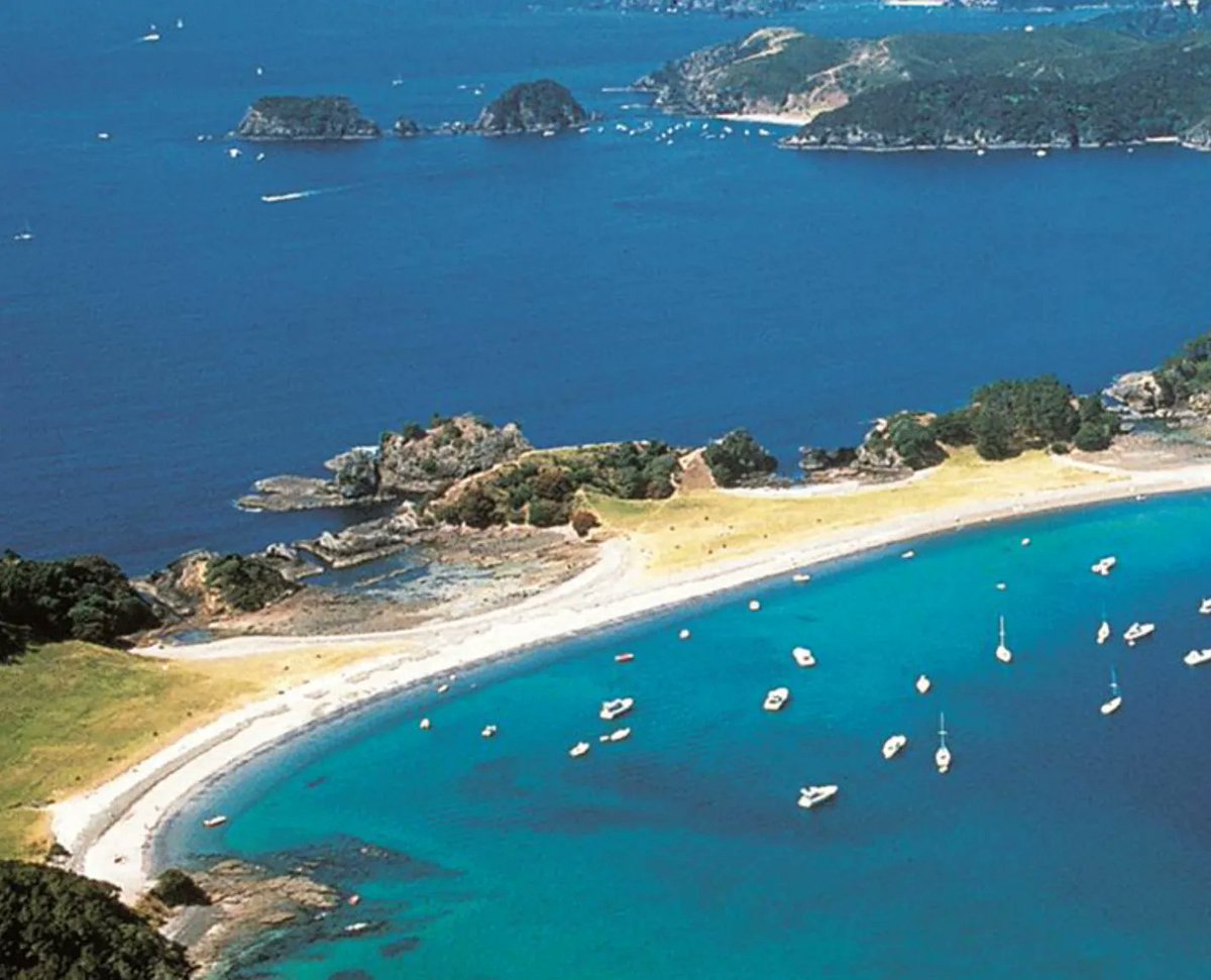 nul_care's tweet photo. I haven't been back to my homeland, New Zealand in more than 2 years since COVID hit. But now I'll be going back for a small holiday from May 1st - 22nd. 
We will still be able to fulfil your orders 👍 But if there is a delay in my responses, I appreciate your understanding! https://t.co/F0MT4H2EyF