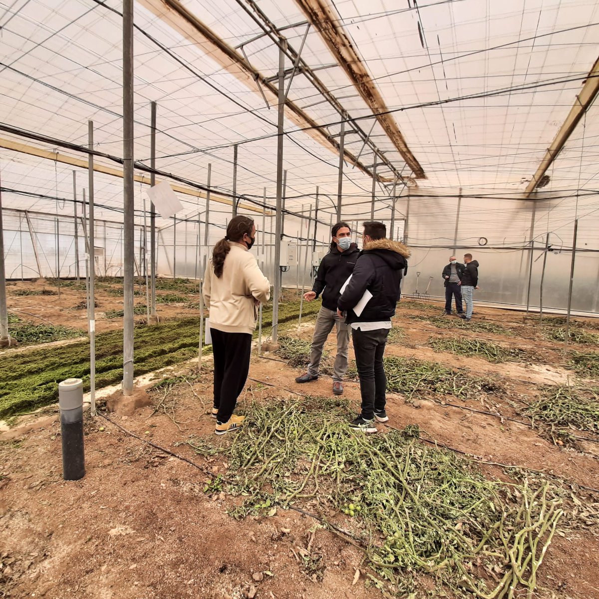 IfapaRECICLAND tweet media