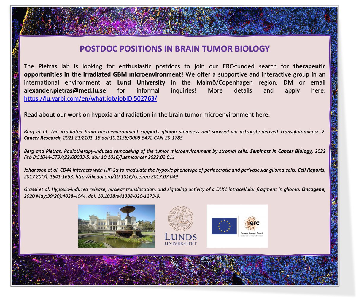 We’re looking for enthusiastic postdocs to join our ERC-funded search for therapeutic opportunities in the irradiated #GBM #microenvironment! RT=💙

More details and apply here: lu.varbi.com/en/what:job/jo…