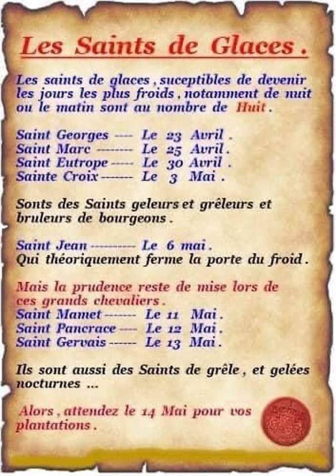 AnnaMar49841121's tweet image. 🌺🌺🌼🌹🌻🪷💐🌸🌸🌞🌞🌞🌞☀️☀️☀️☀️☀️🌤️🌤️